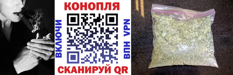Купить  Куса  Канабис гибрид 